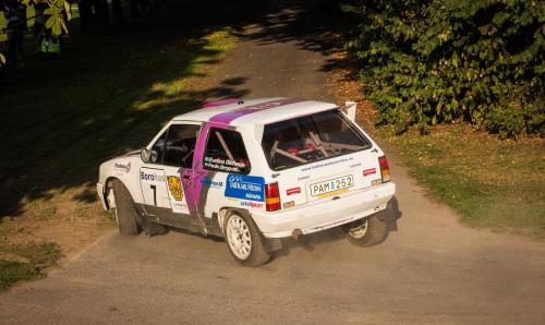 140905-Rally-SM-Linkoping-092