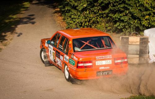 140905-Rally-SM-Linkoping-110