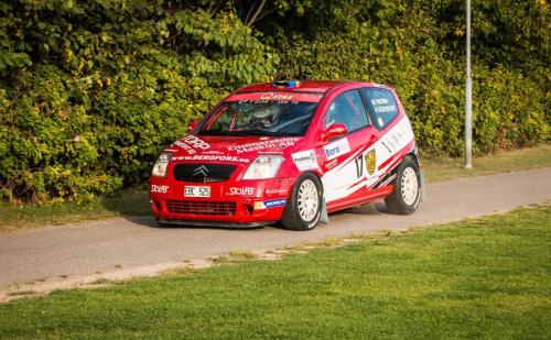 140905-Rally-SM-Linkoping-174