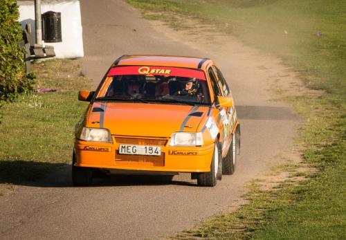 140905-Rally-SM-Linkoping-066